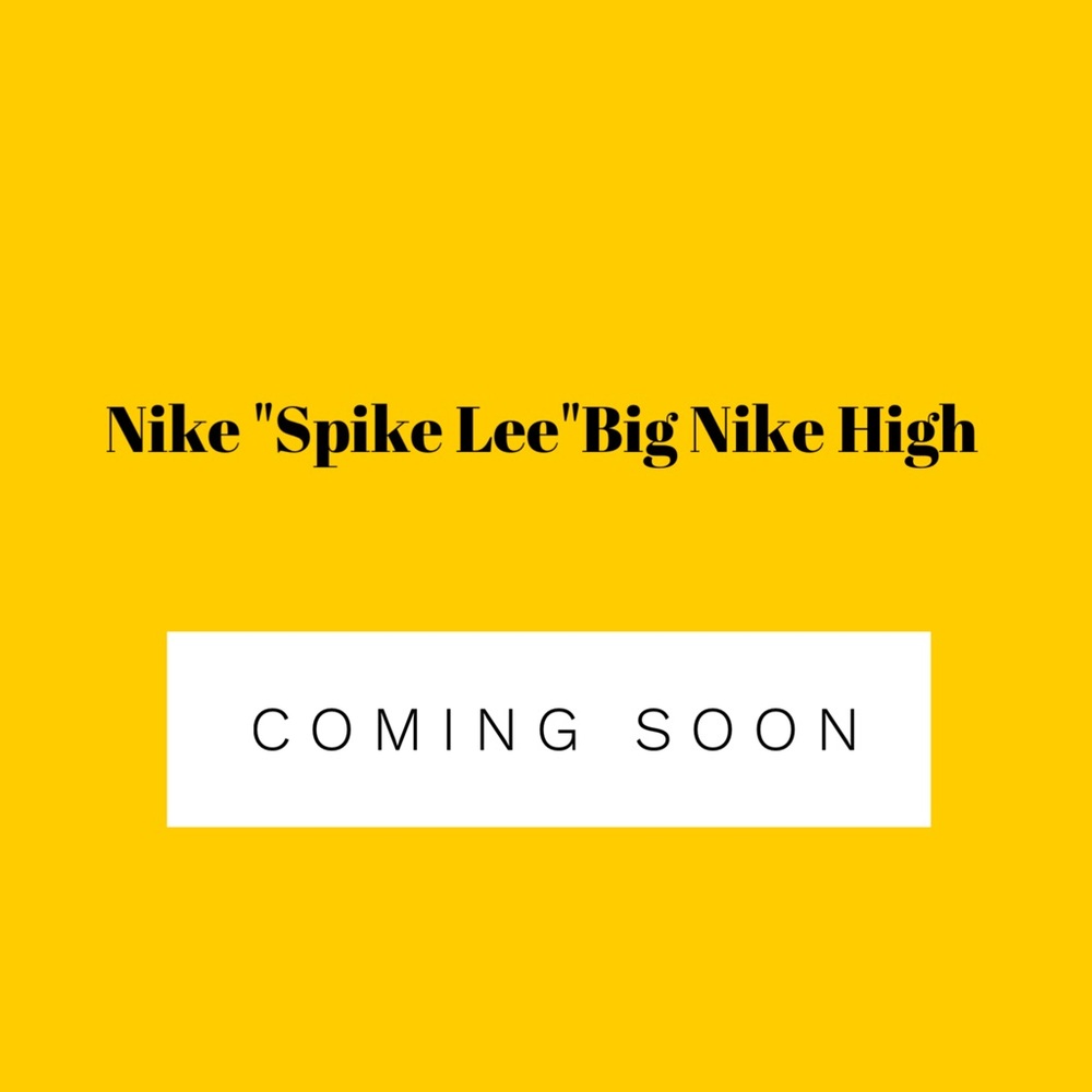 Retro Spike Lee Nikes